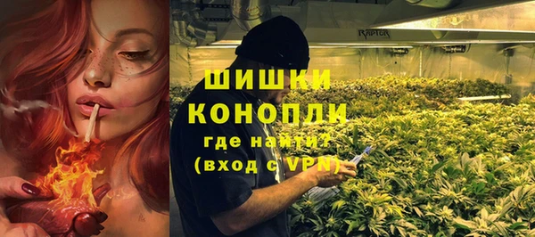 сатива Балахна