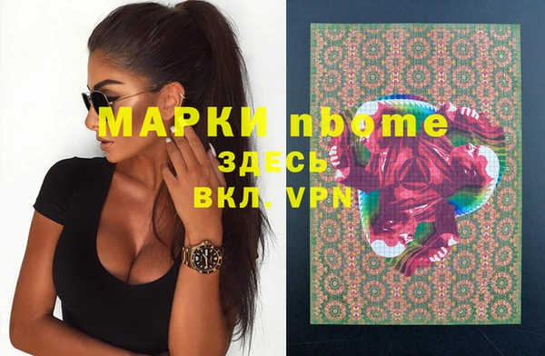 сатива Балахна