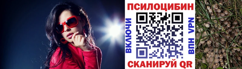 Псилоцибиновые грибы мухоморы  kraken ONION  Астрахань 